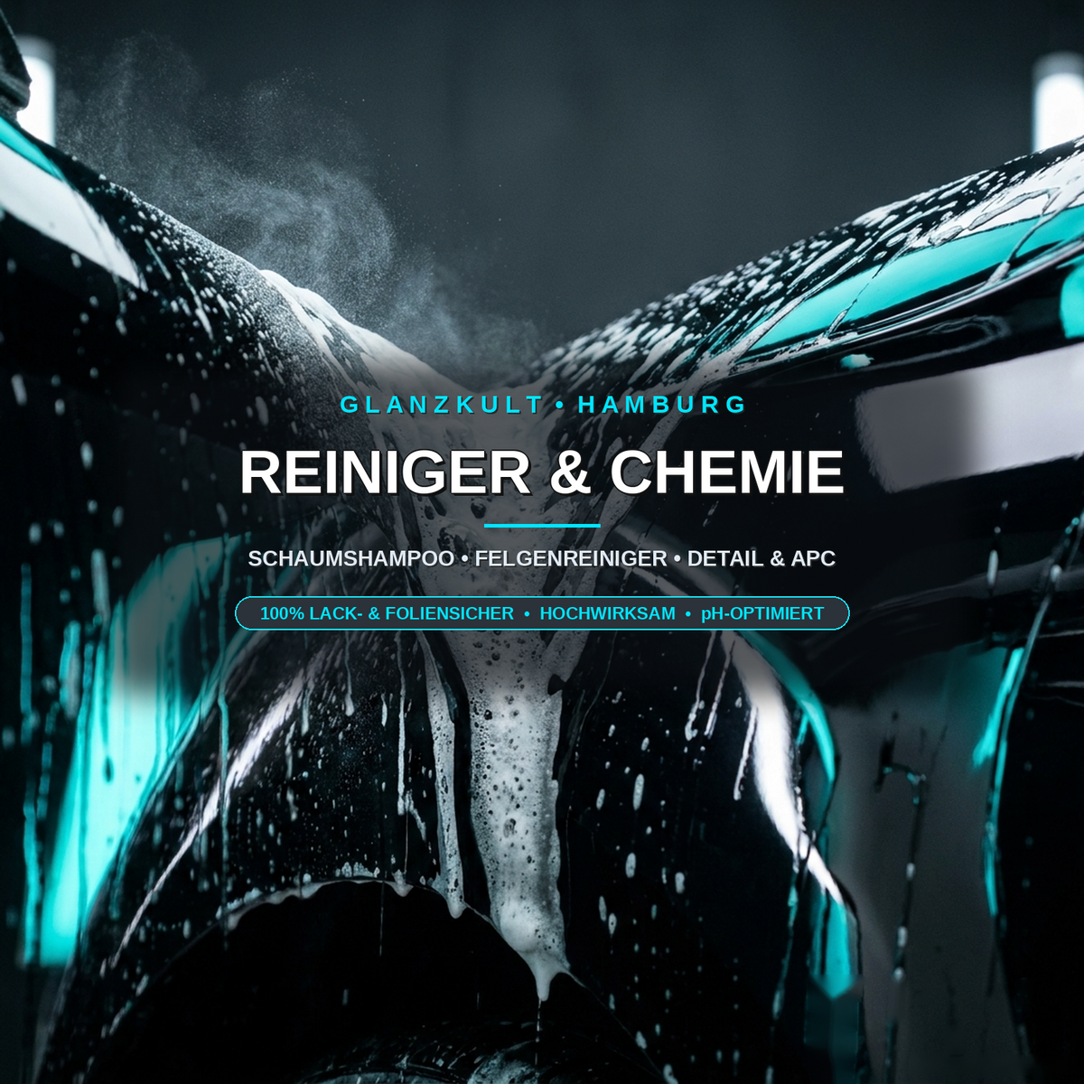Reiniger